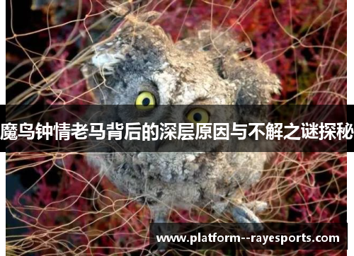 魔鸟钟情老马背后的深层原因与不解之谜探秘